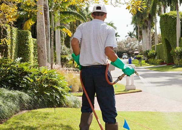 About Poplar MT Pest Control